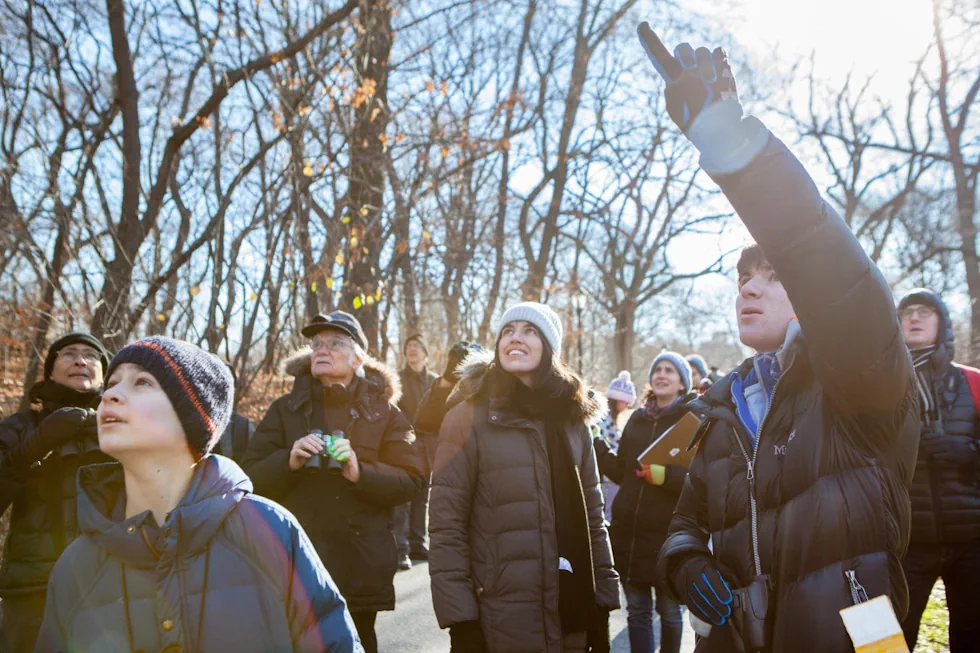 Christmas Bird Count participants, one pointing to the sky, look up. Image from Audubon.org, by Camilla Cerea.