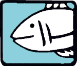 Illustration of a fish, probably a salmon