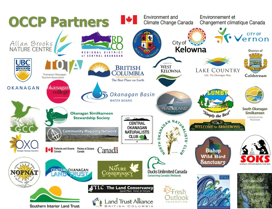 Large listing (there are 34 of them) of the logos of OCCP partners