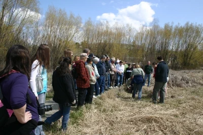 A crowd of people watch work on the BX Creek Wetland Enhancement and Interpretive Signage Project
